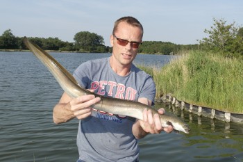 Afbeelding invoegen